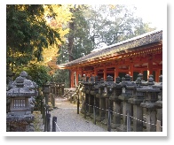 Kasuga taisha 20190613.jpg